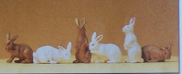 G Figur Kaninchen 6x