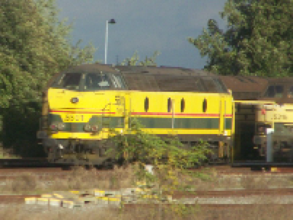 H0 SNCB NMBS Typ 55  Diesellok 5501 TVM dig.