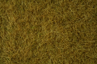 H0 N TT Geländegestaltung Gras Master geeignet Wildgras beige, 6mm, 50gr., etc......