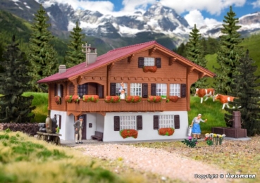 H0 Gebäude BS Chalet in Brienz, L= 12,0x 9,0x 7,0cm, etc................................................................................